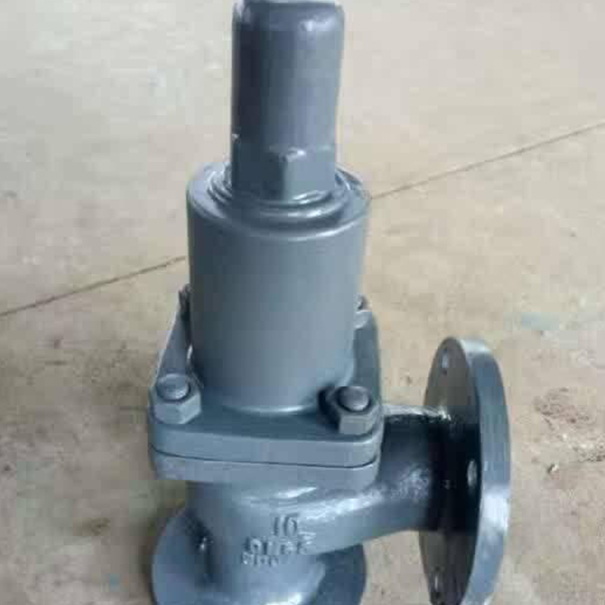 船用法蘭鑄鐵直角安全閥CB/304-92實(shí)物圖1 船用法蘭鑄鐵直角安全閥CB/304-92實(shí)物圖